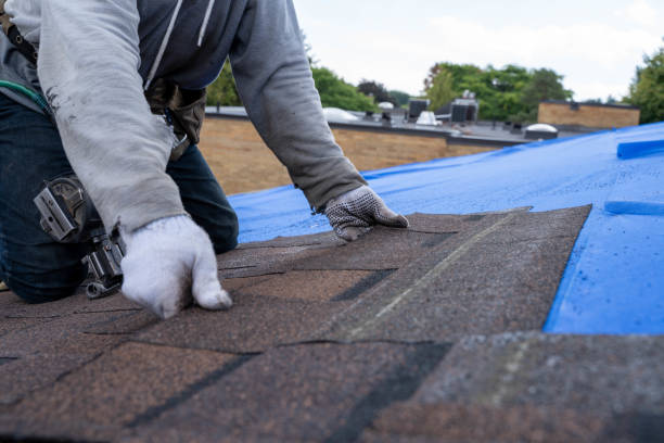 Best Best Roofing Contractors  in Tecumseh, NE