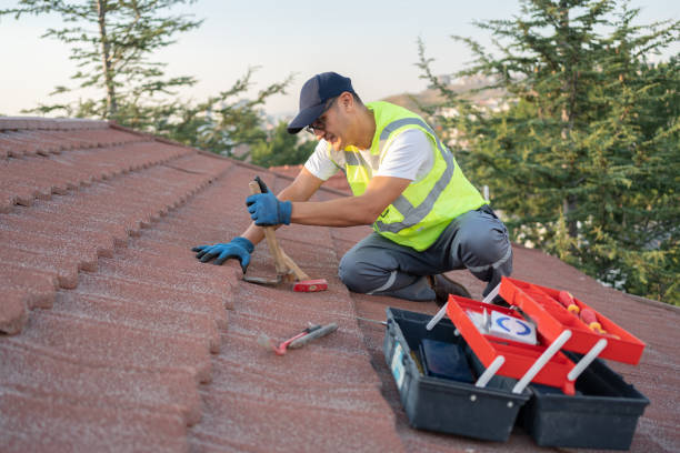 Best Flat Roof Repair Services  in Tecumseh, NE